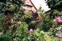 Ferienwohnung: Berlin, Sch�neberg-Tempelhof, Berlin