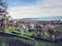 Ferienwohnung: �berlingen - H�dingen, Bodensee, Baden-Wuerttemberg