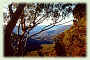 Ferienwohnung: Katoomba, Blue Mountains, Neu-Sd-Wales