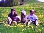 Ferienwohnung: Rettenberg - Rottach, Allg�u, Bayern