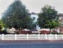 Ferienwohnung: Langeoog, Insel Langeoog, Niedersachsen