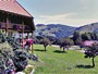 Ferienwohnung: Fr�hnd, S�dschwarzwald, Baden-Wuerttemberg